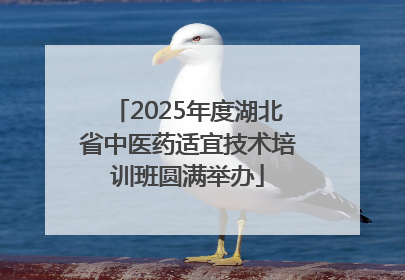 2025年度湖北省中医药适宜技术培训班圆满举办